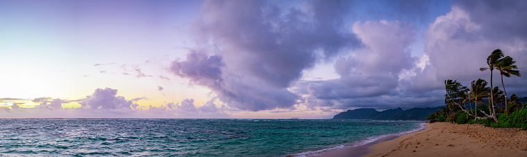 A gorgeous stormy morning just off of Hawaii's idyllic North Shore near Laie.  Pastel purple and pink clouds hang just above the vibrant turquoise waves crashing into the sandy shore. The sun is rising to the left of the frame and the tall Hawaiian mountains can be seen in the distance, just past the palm trees blowing in the wind.