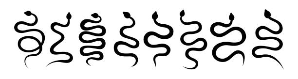Set of black snake silhouettes. Dark hand drawn poisonous snakes. Black toxic reptiles. Dangerous exotic rattlesnakes symbol. Set of black snake silhouettes. Dark hand drawn poisonous snakes. Black toxic reptiles isolated on white background. Dangerous exotic rattlesnakes symbol. venom symbol stock illustrations