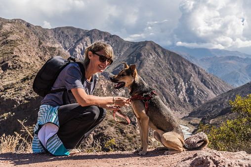 adult woman, playing with her puppy dog in the mountains, hiking day