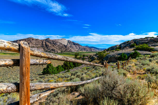 A lonely dirt road through the grasslands along the border between the United States and Mexico in Arizona.