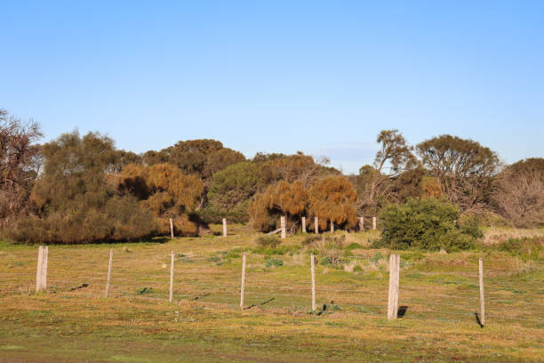 istock landscape with fields and rural fences 1420000118