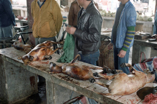 British Hong Kong, China - 1983: A vintage 1980's Fujifilm negative film scan of an open air meat market butcher stall in downtown Hong Kong, with now outlawed dog meat on display.