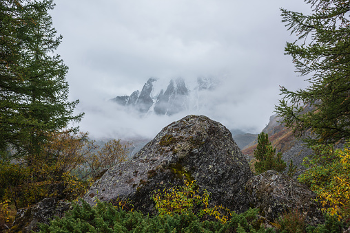 Beautiful mossy rock among lush autumn flora against snowy mountains in thick low clouds. Minimal view through forest hill to snow mountain range in dense fog. Fading autumn colors in high mountains.