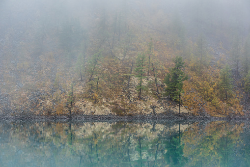 Simple meditative landscape with forest hill reflection in tranquil turquoise lake in fog. Mossy shore with firs in fading autumn colors reflected in mirror mountain lake. Autumn shore of alpine lake.