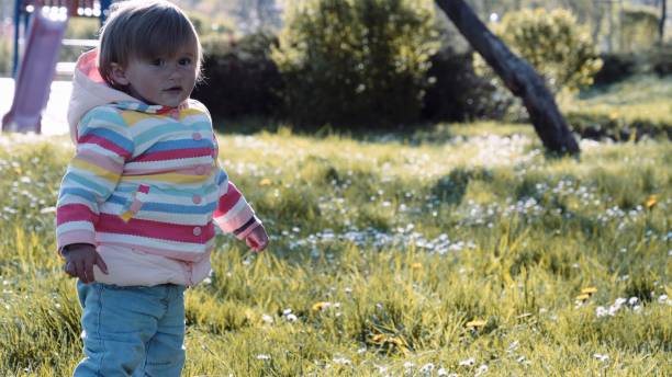 istock Baby plays in meadow of daisies at sunset. 1420004430