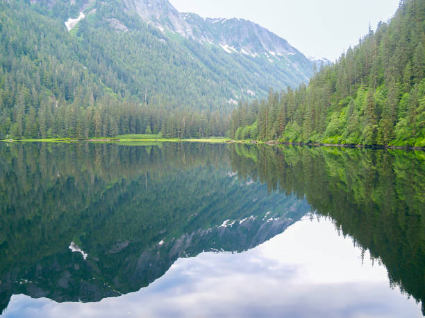 istock Calm water surrounded by mountains and forest to waters edge beautifully reflected 1420011103