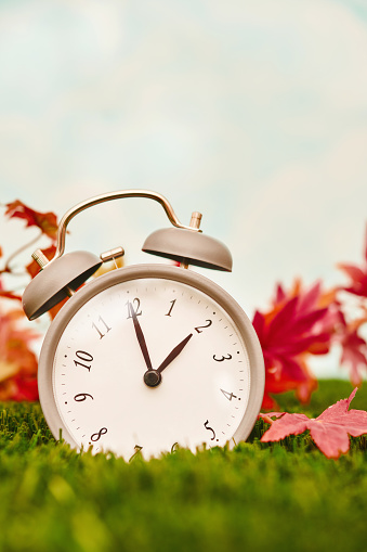 Gray alarm clock with maple leaves in grass with copy space. Daylight savings time