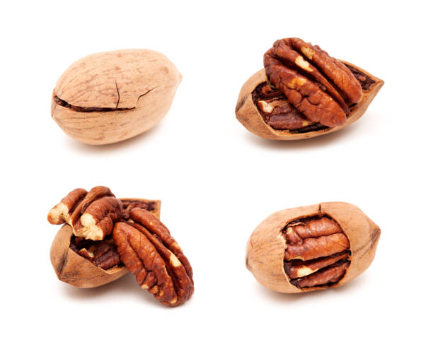 Close up of pecan nuts isolated on white background