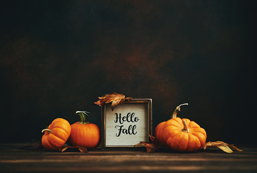 Thanksgiving and fall background with pumpkins and HELLO FALL message in dark setting