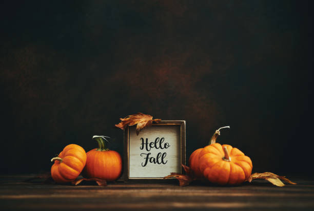 ação de graças e fundo de outono com abóboras e mensagem hello fall em configuração escura - thanksgiving table setting autumn - fotografias e filmes do acervo