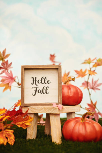 istock Cute Thanksgiving and Fall arrangement with HELLO FALL greeting and miniature pumpkins with maple leaves 1420015190