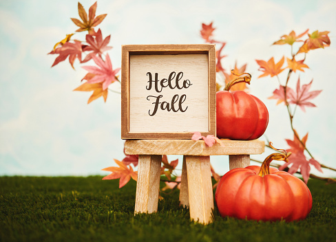 Cute Thanksgiving and Fall arrangement with HELLO FALL greeting and miniature pumpkins with maple leaves