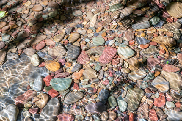 rocce arcobaleno multicolori nel torrente avalanche che porta verso il lago mcdonald al glacier national park, montana, usa - us glacier national park mcdonald lake mcdonald creek montana foto e immagini stock