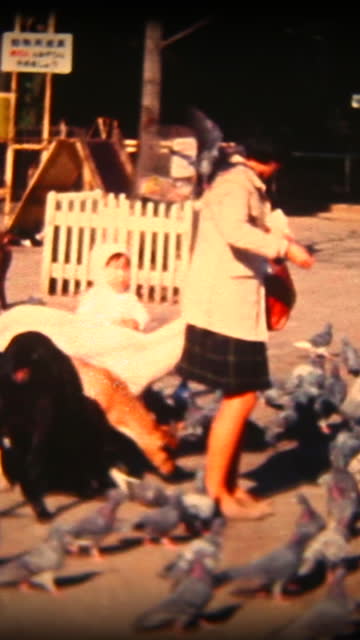 60's 8mm footage - feeding animals in a park