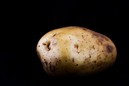 Potato on black background