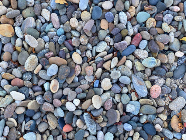 istock ocean shoreline pebble beach stone rock garden yard path walkway sea rocks 1420029621