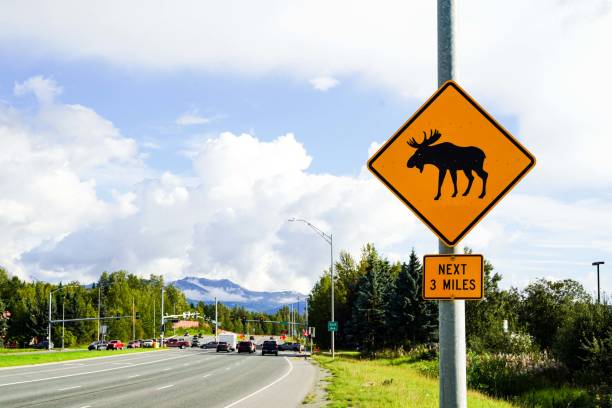 ムース クロッシング サイン、アラスカ、アメリカ - moose crossing sign ストックフォトと画像