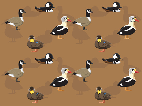 Various US Wild Duck Breeds Cartoon Seamless Wallpaper Background