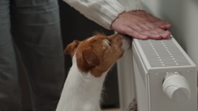 Woman in warm sweater adjusting temperature on heating radiator