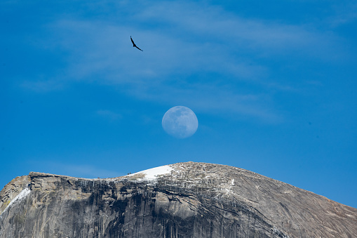 Close-up of the Half Dome Monolith in Yosemite National Park, California, USA. The moon visible on the blue sky above. Seen a day in the spring.