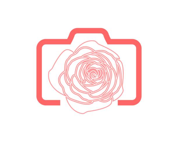 illustrazioni stock, clip art, cartoni animati e icone di tendenza di macchina fotografica con fiore di rosa all'interno - studio shot flash
