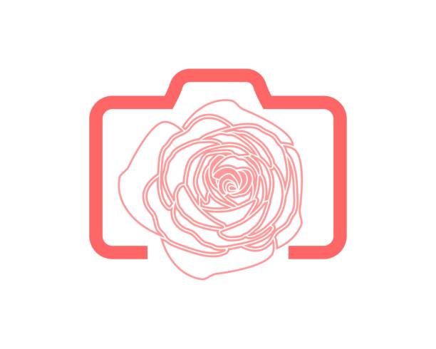 Camera with rose flower inside Camera with rose flower inside natural pattern photos stock illustrations