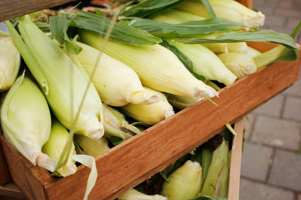 istock farmers market corn 1420048274