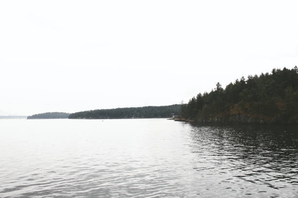 istock San Juan Islands shore 1420048650
