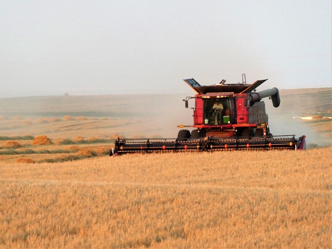 A combine working in the field.