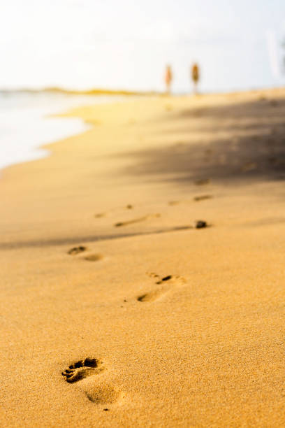 Footprint on sandy beach with vintage warm light, verticale style, walk together by the sea