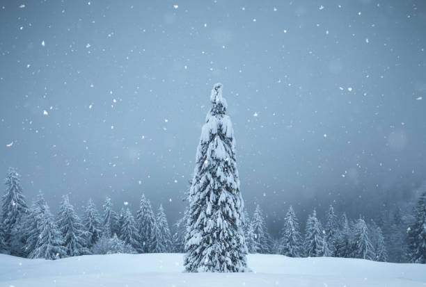 istock Snowing On A Christmas Day 1420052270