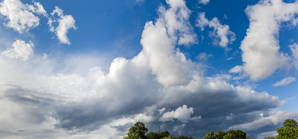 Fragment of the sky partly covered with cumulus and storm clouds over the tree tops, panoramic view