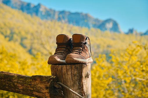 Boots of a hiker leaning on a pole with some trees in the background after an excursion