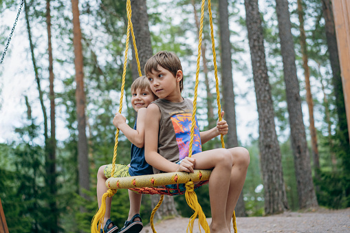 cute little boys having fun on a swing at playground. Summer vacation in the nature.