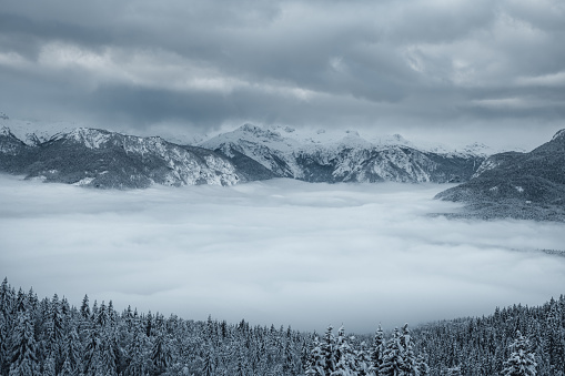 Winter landscape with fog in the valley.