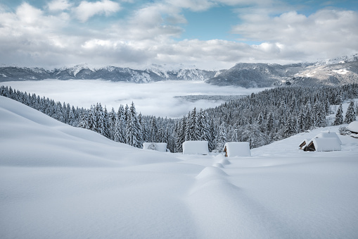 Snowcapped mountain huts on a beautiful winter day (Pokljuka, Slovenia).