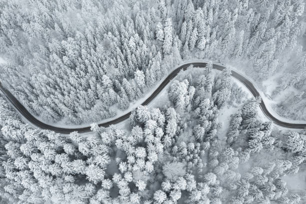 istock Curvy Road In Snowcapped Forest 1420058668