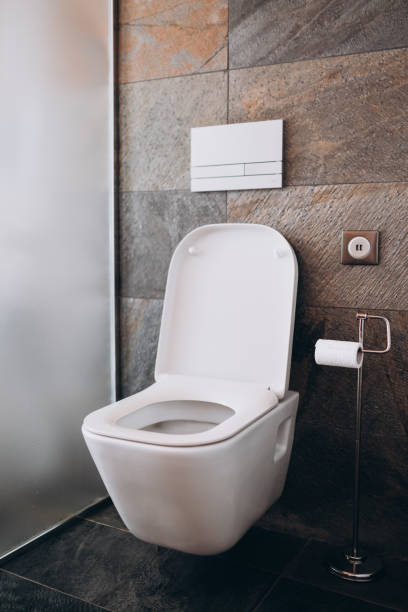 istock Modern flush white toilet or WC in small bathroom with push button flush and USB charging 1420068670