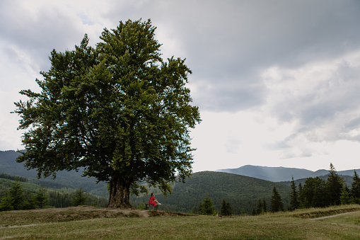 a young woman in a red dress sits under a big tree in the mountains