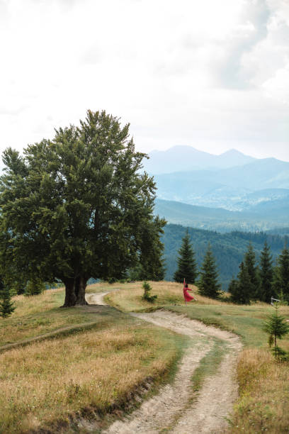 istock woman near old big beech tree in the mountains 1420072940