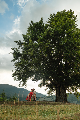 a couple sits on a bench by a big old beech tree with a view of the carpathians mountains
