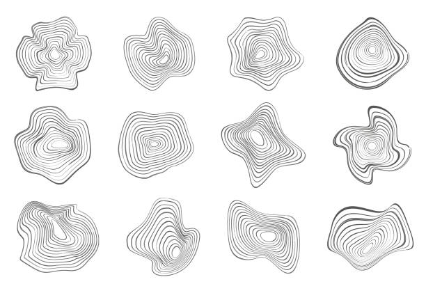 illustrations, cliparts, dessins animés et icônes de anneaux d’arbres motifs organiques. cercles de lignes topographiques. formes de contour ondulées de la nature. icônes vectorielles topographiques. - wood abstract backgrounds wallpaper pattern