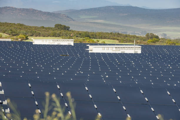 istock Paleisheuwel Solar Plant low angle view 1420077023