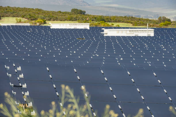 istock Paleisheuwel Solar Plantlow angle view with charging stations 1420077045