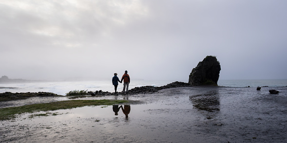 Couple holding hands, standing on the St Clair beach clifftop and looking at the sea, Dunedin.