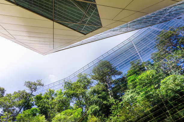 istock Go Green – Sustainable Resources – Green Building 1420084107