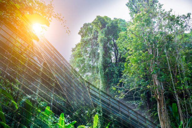 Go Green – Sustainable Resources – Green Building