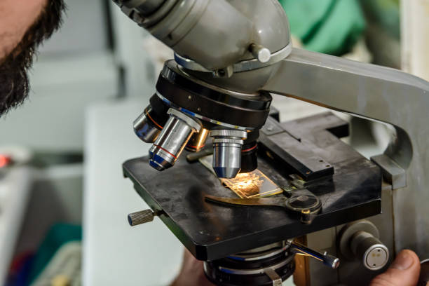 istock A veterinarian at an animal clinic is using a microscope. 1420084166