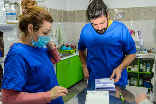 An animal clinic's veterinarians are completing paperwork at a veterinarian hospital.