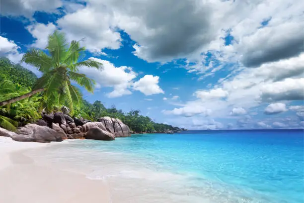 Photo of Untouched tropical beach in Sri Lanka. Perfect beach scene vacation and summer holiday concept.